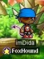 Dida